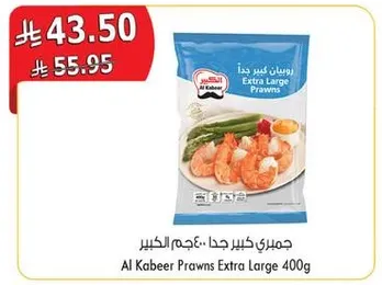 جمري كبير جدا.. عجم الكبير