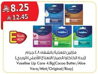 فازلين للعنايه بالشفتين 4.8 جرام (زبده الكاكاو/الصبار/النعناع/الاصلي/الوردي)