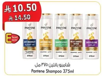 شامبو بانتين 375 مل