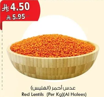 عدس احمر (الهيبس)