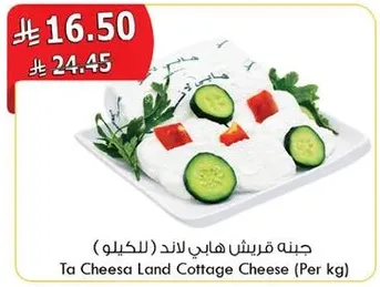 جبنه قريش هايب لاند (للكيلو)