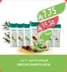 شامبو هيمالايا 400 مل.