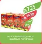 راينا معجون الطماطم 6 × 115 جرام