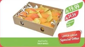 مانجو تيمور