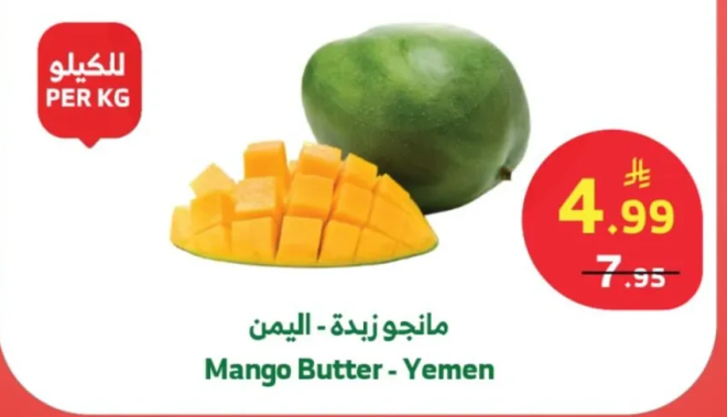 مانجو زيده - اليمن