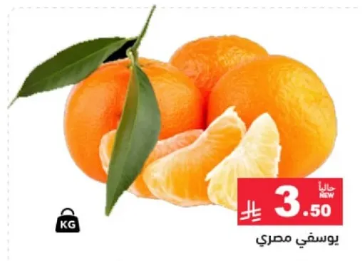 برتقال مصري