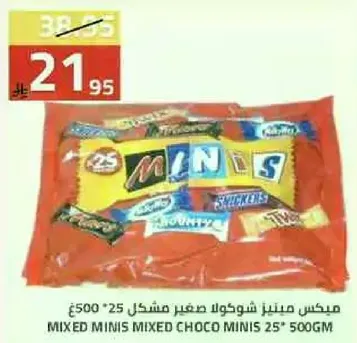 Mixed Minis Choco Minis 25*500GM