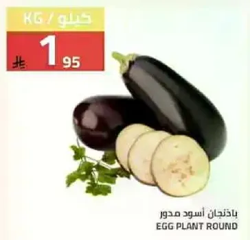 باذنجان اسود مدور