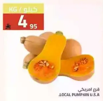 قرع امريكي.