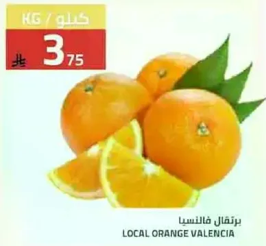 برتقال فالنسيا المحلي.