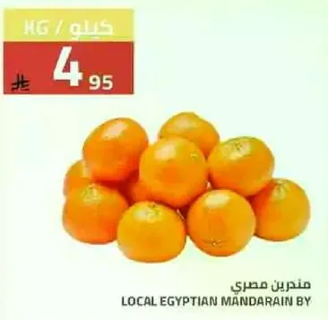 mandarain محلي مصري.