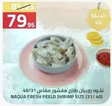 روبيان طازج مقشر مقاس 40/31.