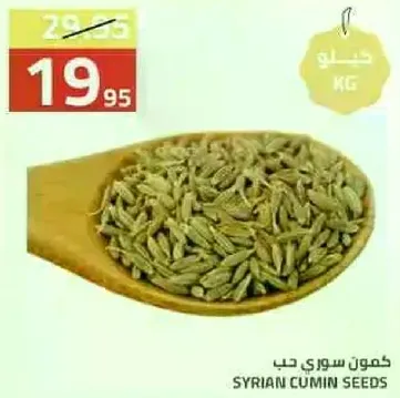 كمون سوري حب