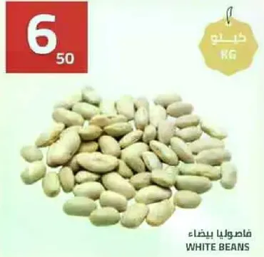 فاصوليا بيضاء