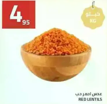 عدس احمر حب