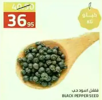 فلفل اسود حب