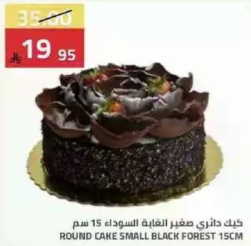 كيك دانيزي صغير الغابه السوداء 15 سم