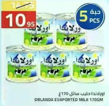 اورلندا حليب سايل 170 غم