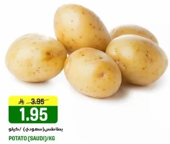 بطاطس (سعودي) / كيلو
