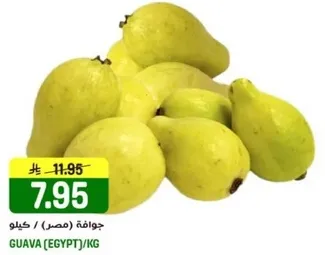 جوافه (مصر) / كيلو.