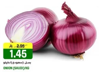 بصل (سعودي)/كيلو.