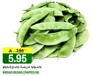 فاصوليا عريضه (بادري) / كيلو