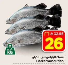 سمك الباراموندي