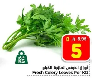 اوراق الكرفس الطازجه للكليو