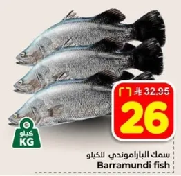 سمك الباراموندي