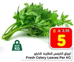 اوراق الكرفس الطازجه للكilo