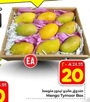 صندوق مانجو تيمور متوسط