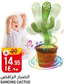 الصبار الراقص