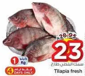 سمك تيلابيا طازج.