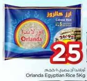 اورلندا ارز مصري 5 كجم