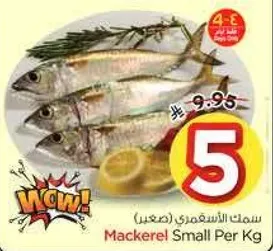 سمك الاسقمري (صغير)