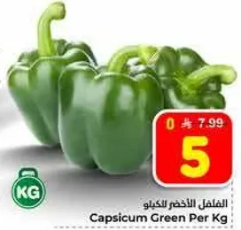 الفلفل الاخضر للكيلو