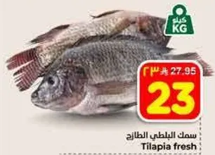 سمك البلطي الطازج