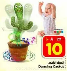 الصبار الراقص