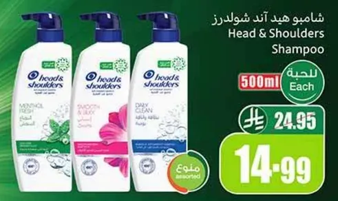 شامبو هيد اند شولدرز