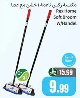 مكنسه ركس ناعمه / خشنه مع عصا