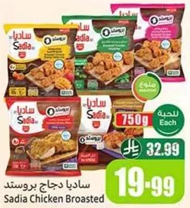 ساديا دجاج بروستد