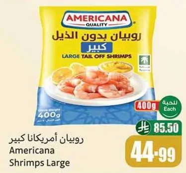 روبيان امريكانا كبير