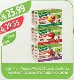 Sun Blast Organic Fruit Juice 10 * 200 ml.