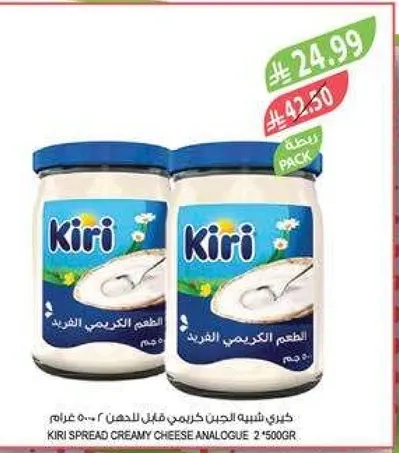 كيري سبريد كريمي تشيز انالوج 2 * 500 غرام