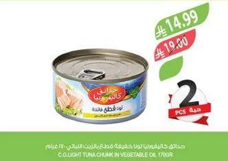 تونه خفيفه قطع في زيت نباتي 170 جرام