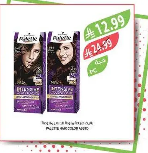 باليت صبغه ملونه للشعر assorted