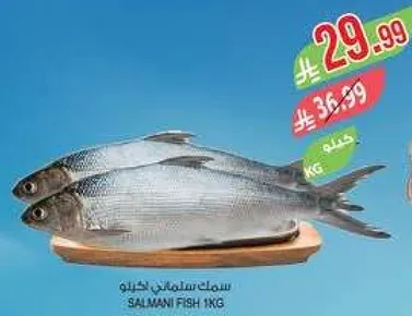 سمك سلماني 1 كجم
