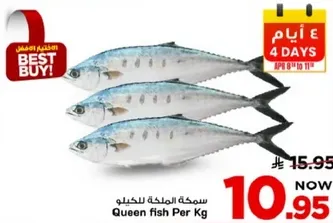 سمكه الماكله للكيلو