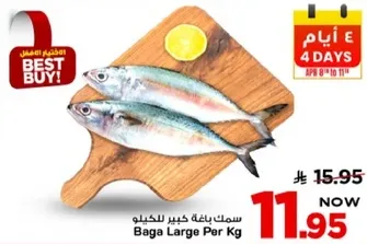 سمك باجه كبير للحكيلو.