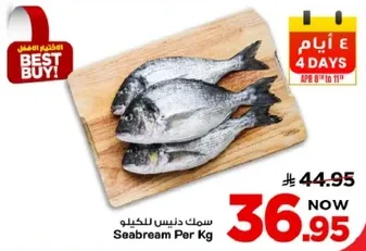 سمك دنييس للكيلو